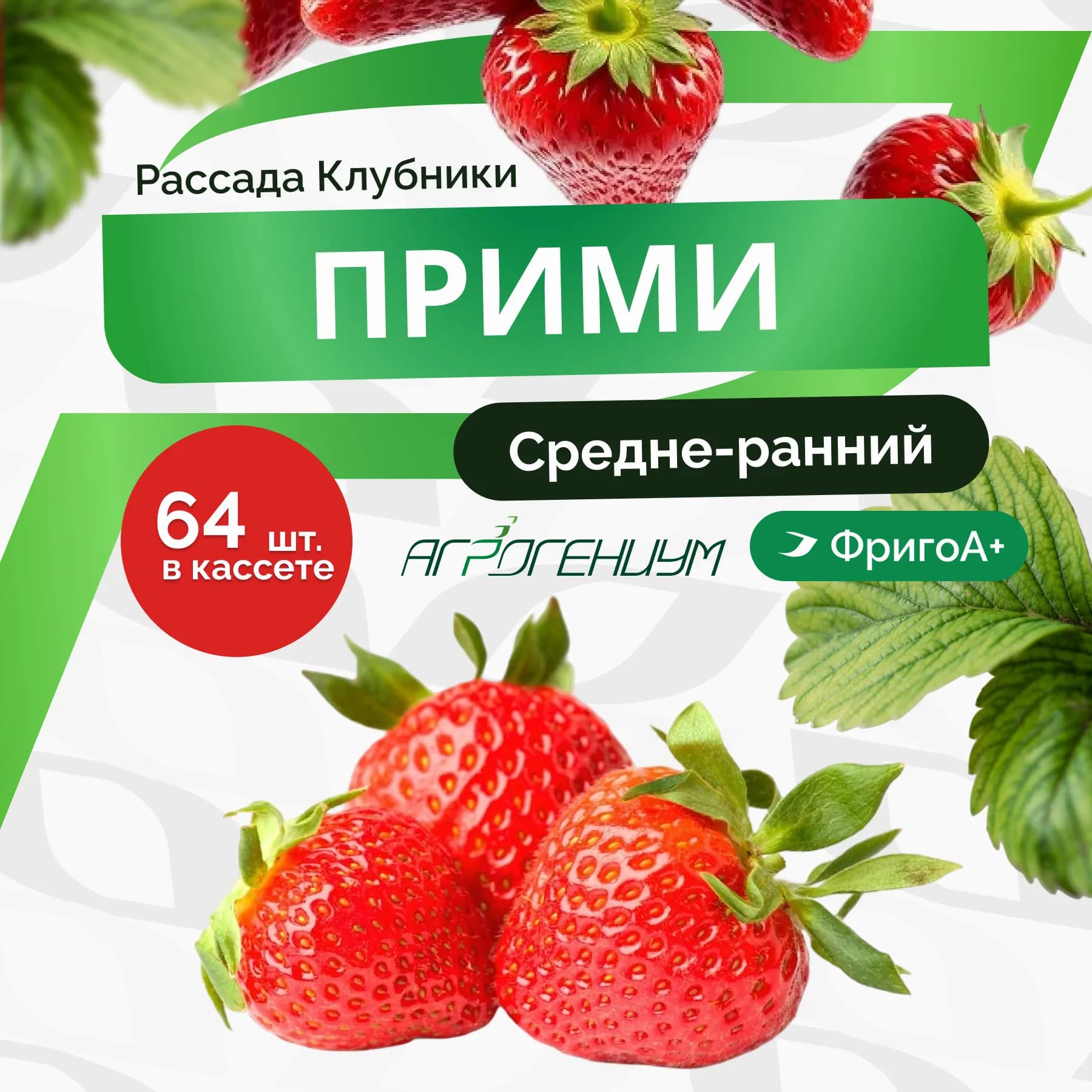Клубника Прими рассада средне - ранняя ФригоА+