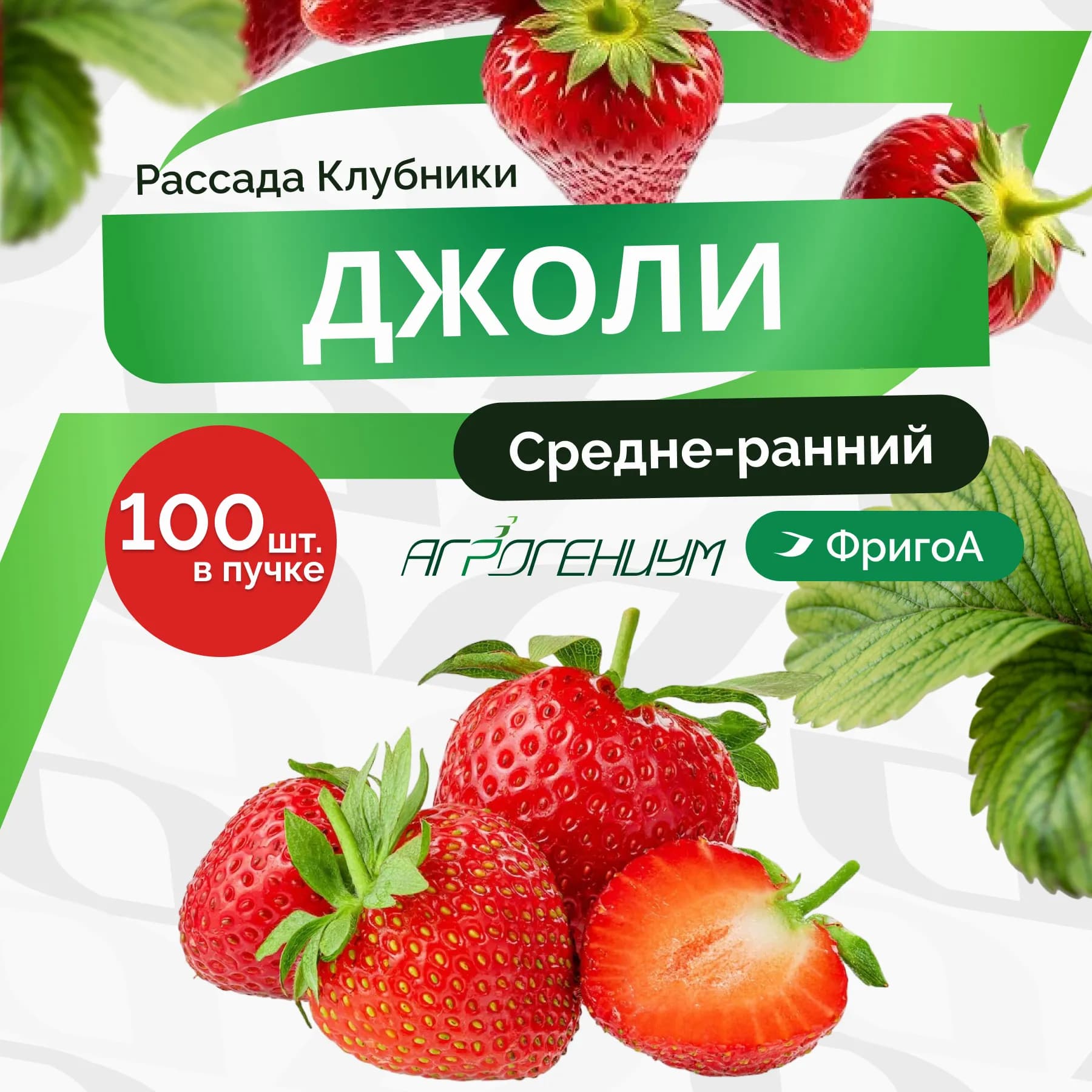 Клубника Джоли рассада средне - ранняя ФригоА