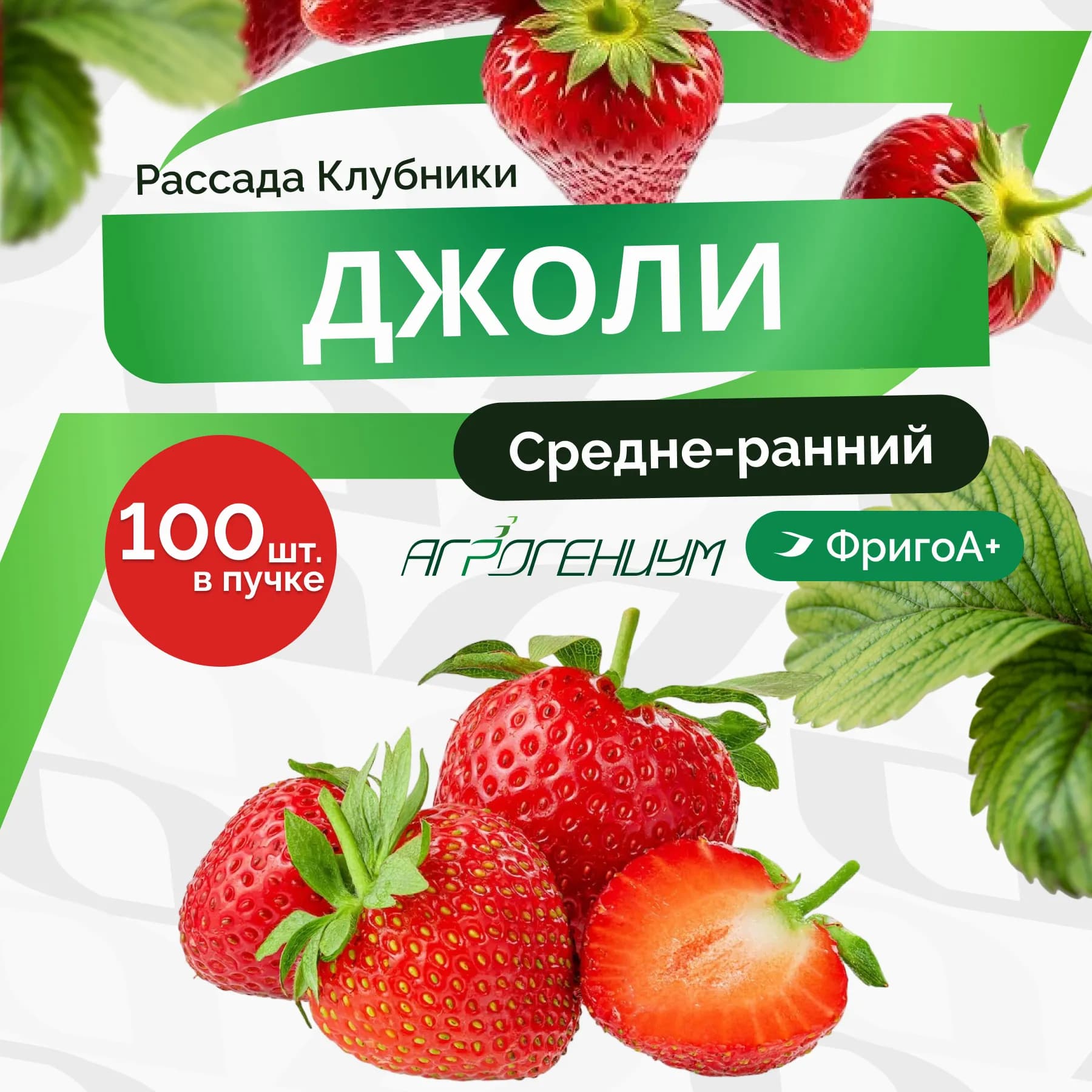 Клубника Джоли рассада средне - ранняя ФригоА+