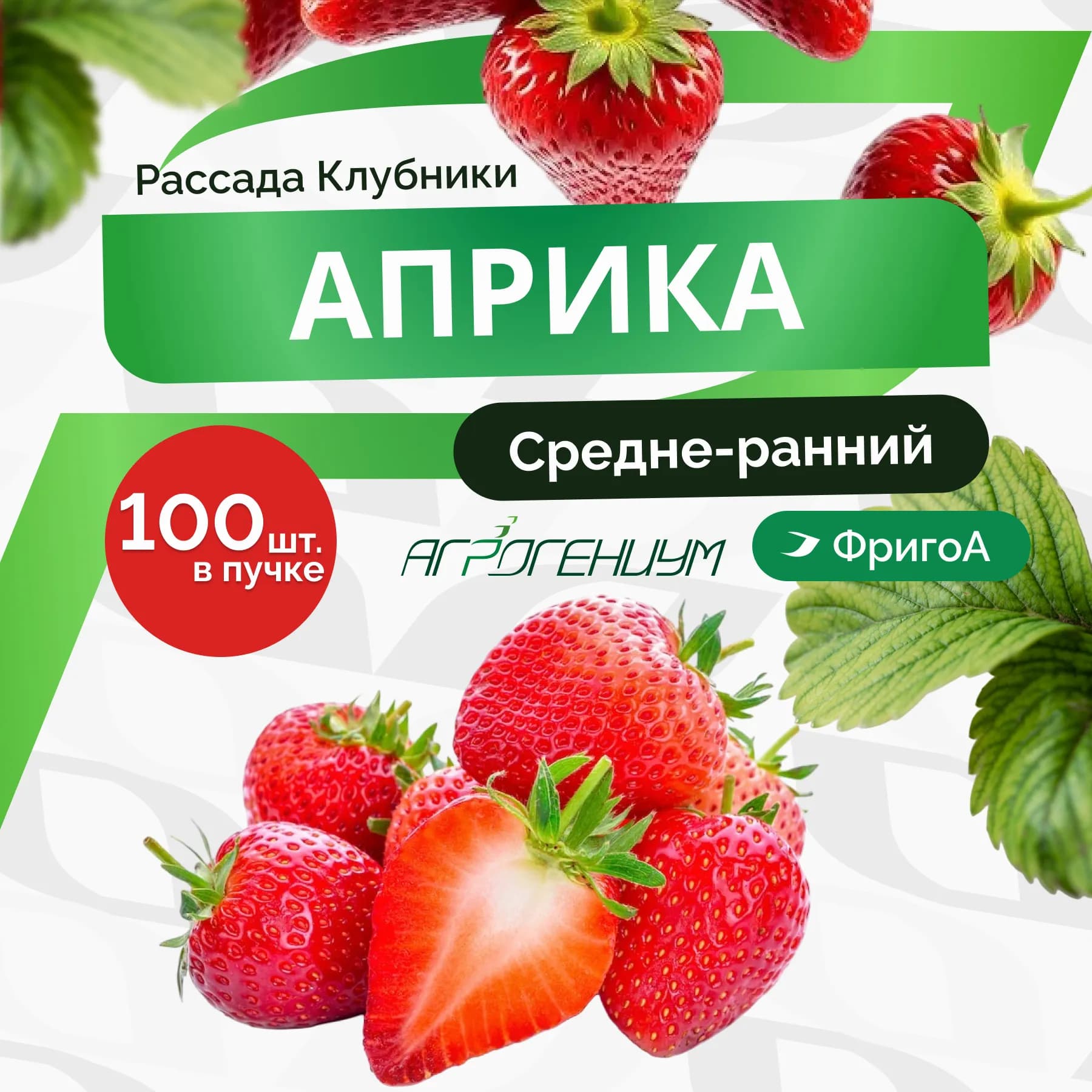 Клубника Априка рассада ранняя ФригоА
