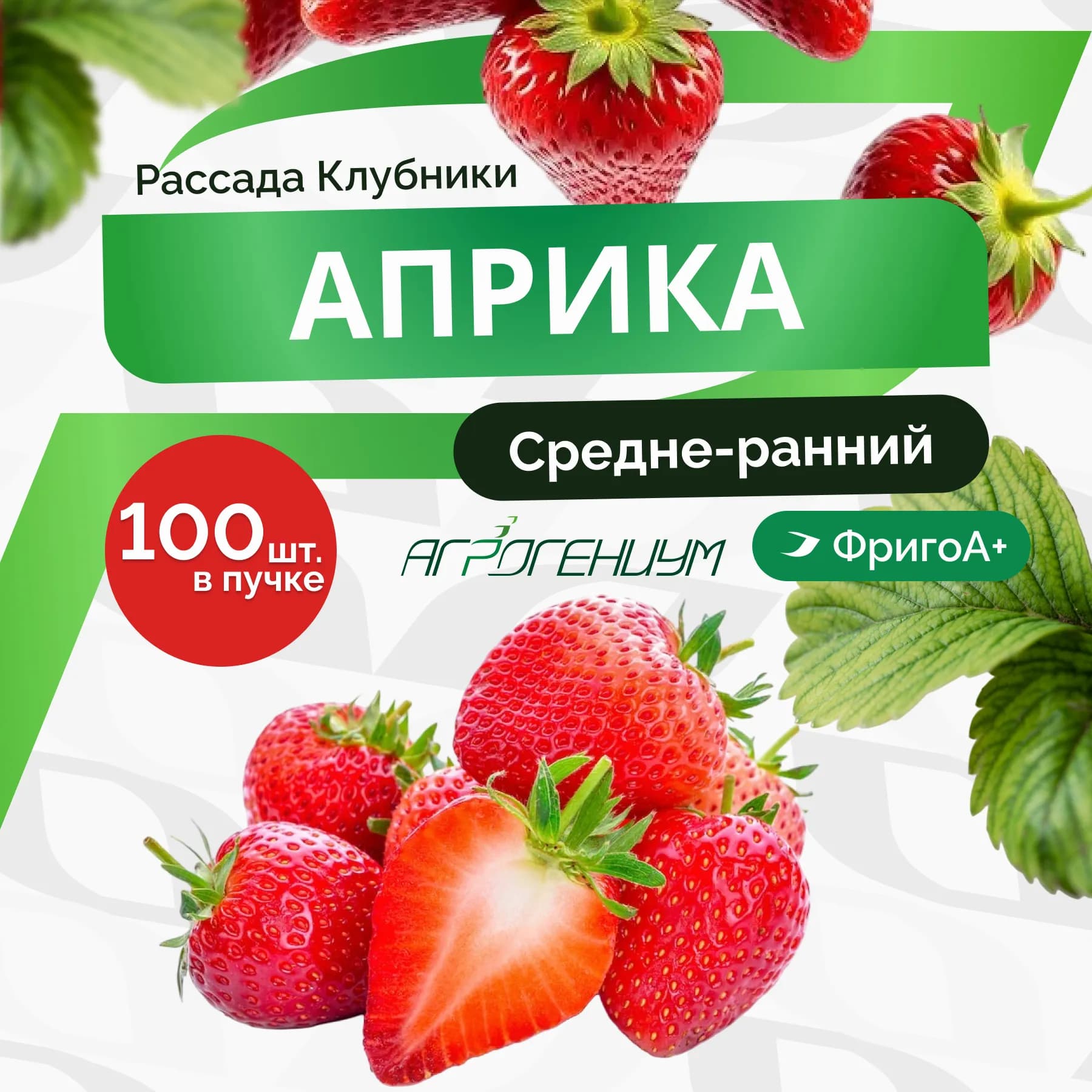 Клубника Априка рассада ранняя ФригоА+