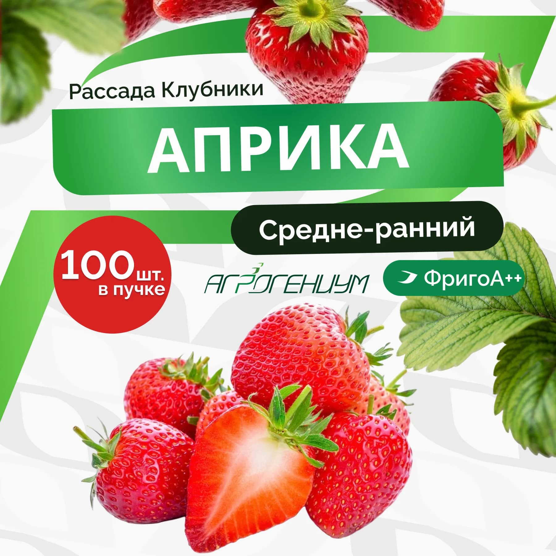 Клубника Априка рассада ранняя ФригоА++