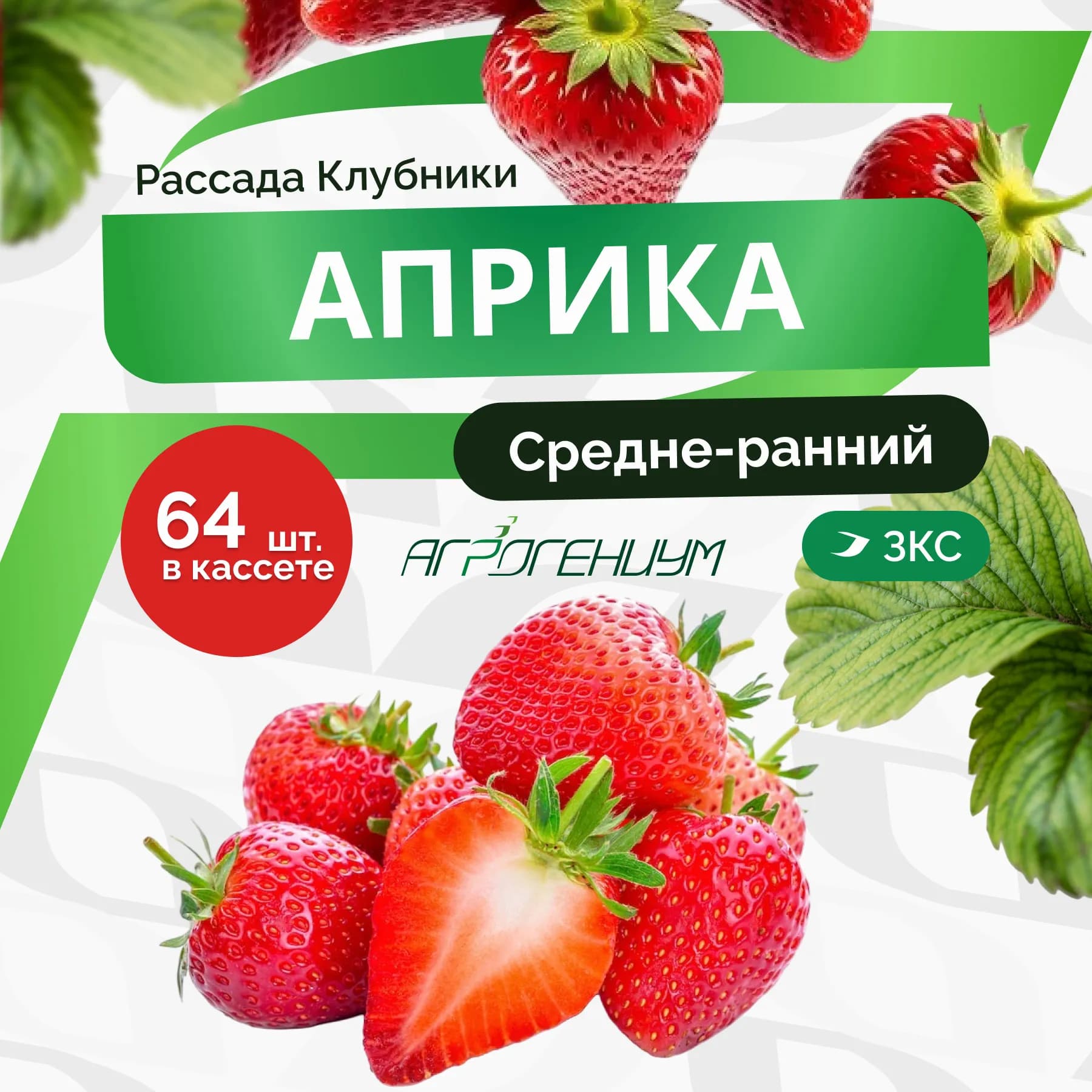 Клубника Априка рассада ранняя ЗКС