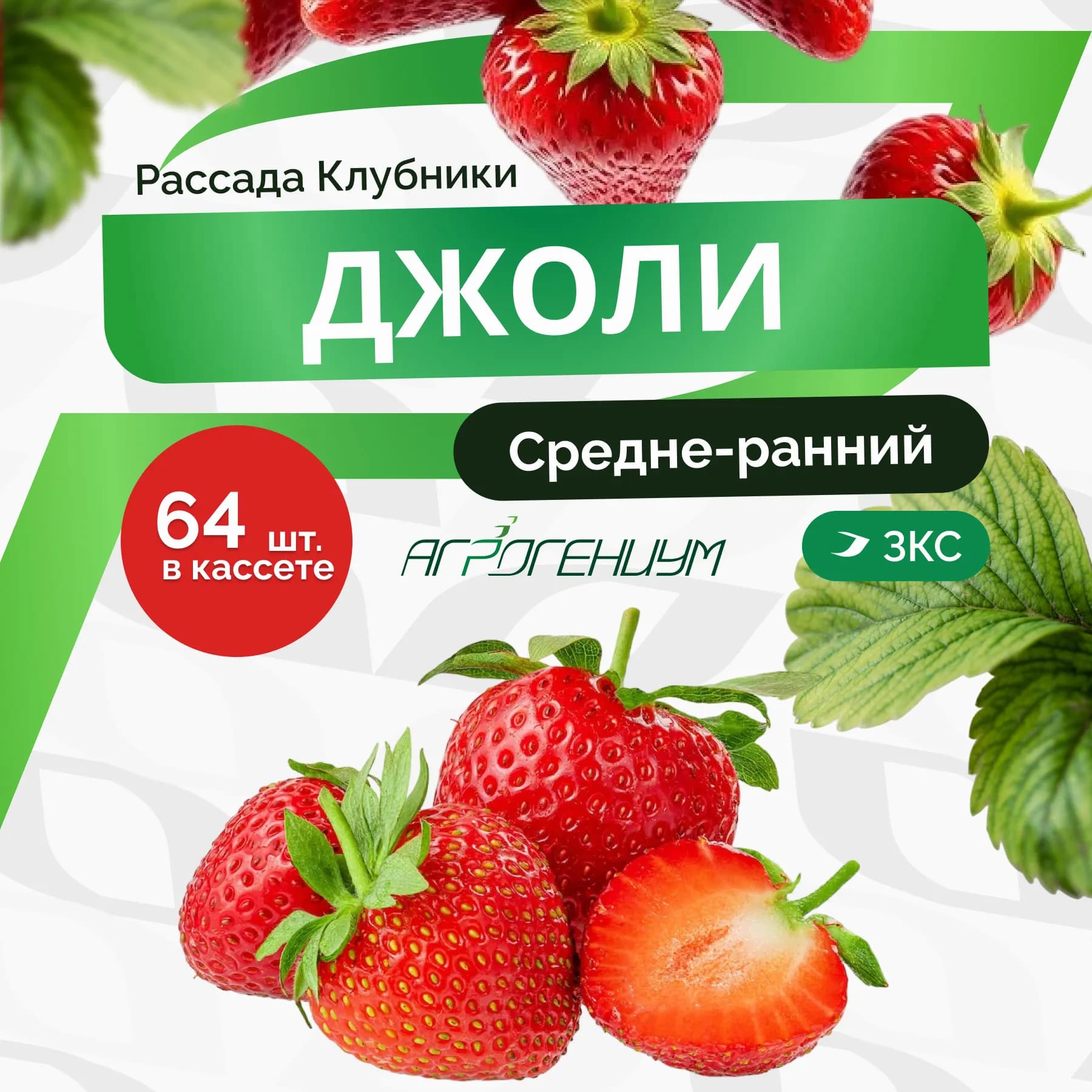 Клубника Джоли рассада средне - ранняя ЗКС