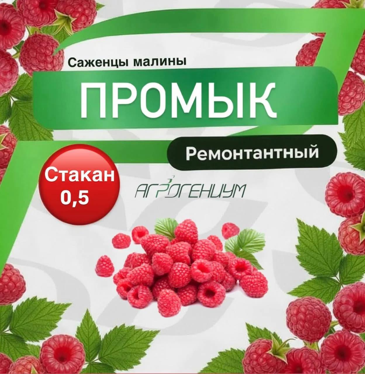 Саженец малины ремонтантной Промык ЗКС