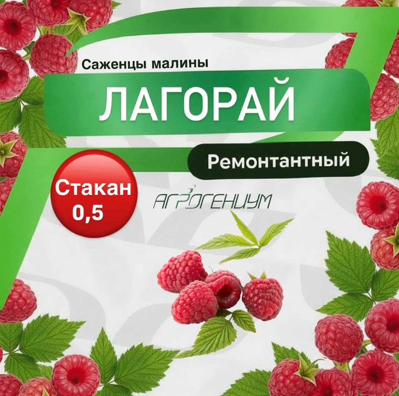 Саженец малины ремонтантной Вайолет ЗКС